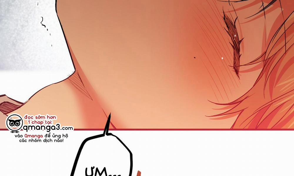 Đàn Thỏ Của Habibi 33 trang 2