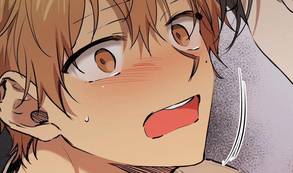 Đàn Thỏ Của Habibi 33 trang 207