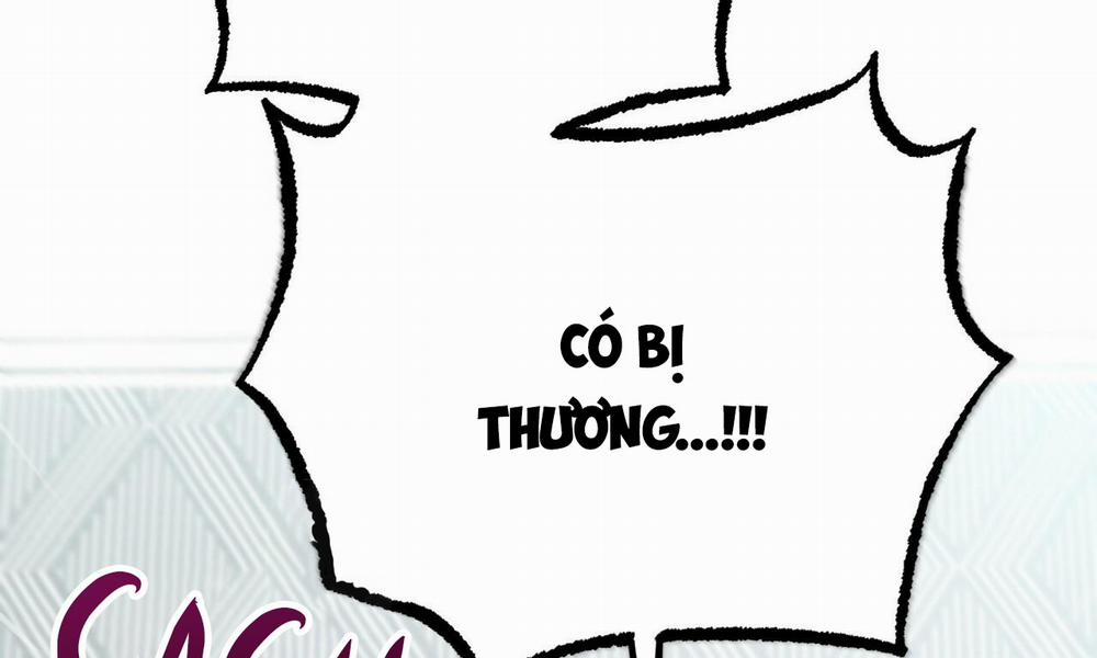 Đàn Thỏ Của Habibi 33 trang 251