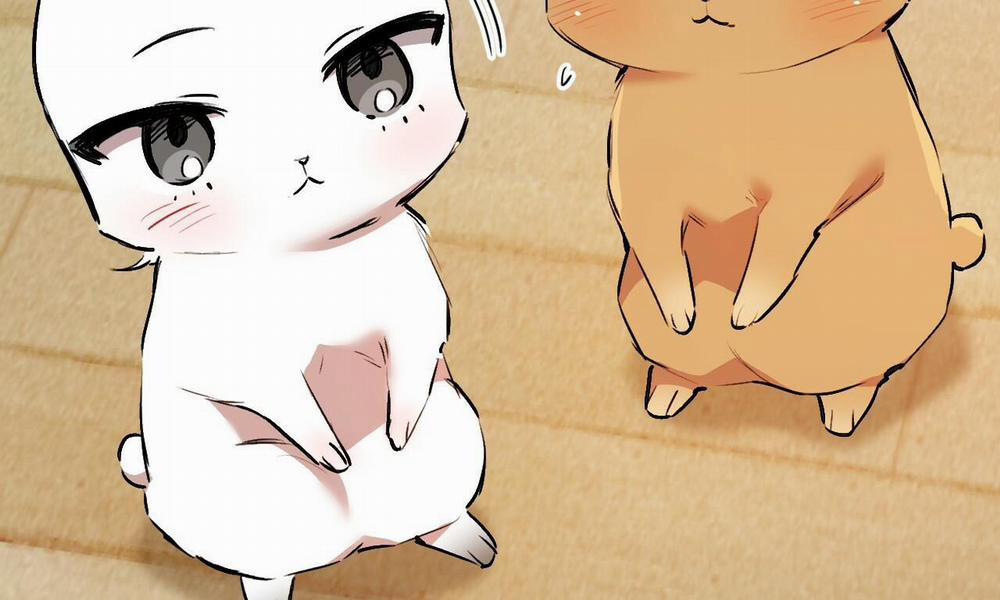 Đàn Thỏ Của Habibi 33 trang 256