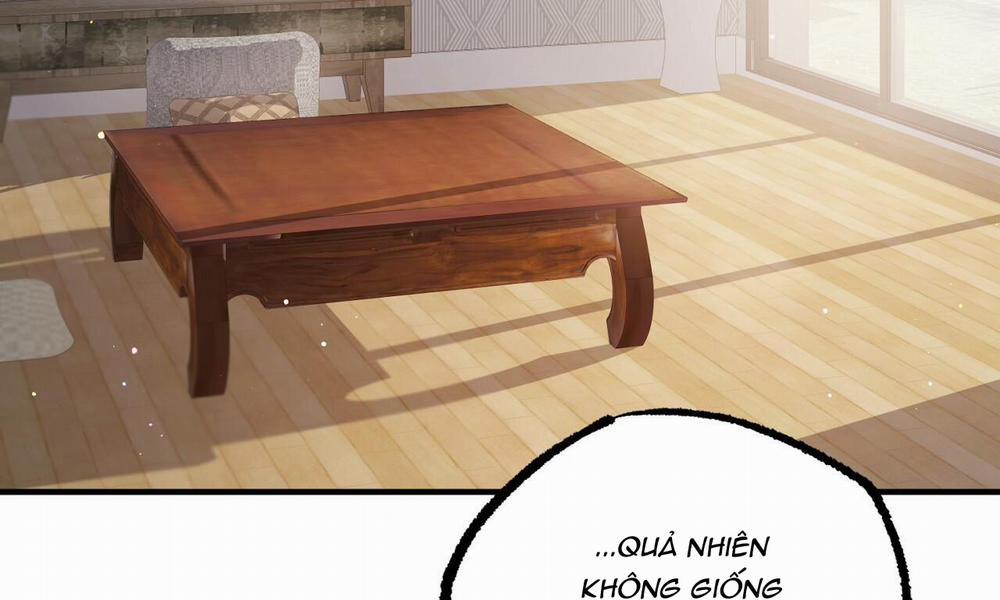 Đàn Thỏ Của Habibi 33 trang 265