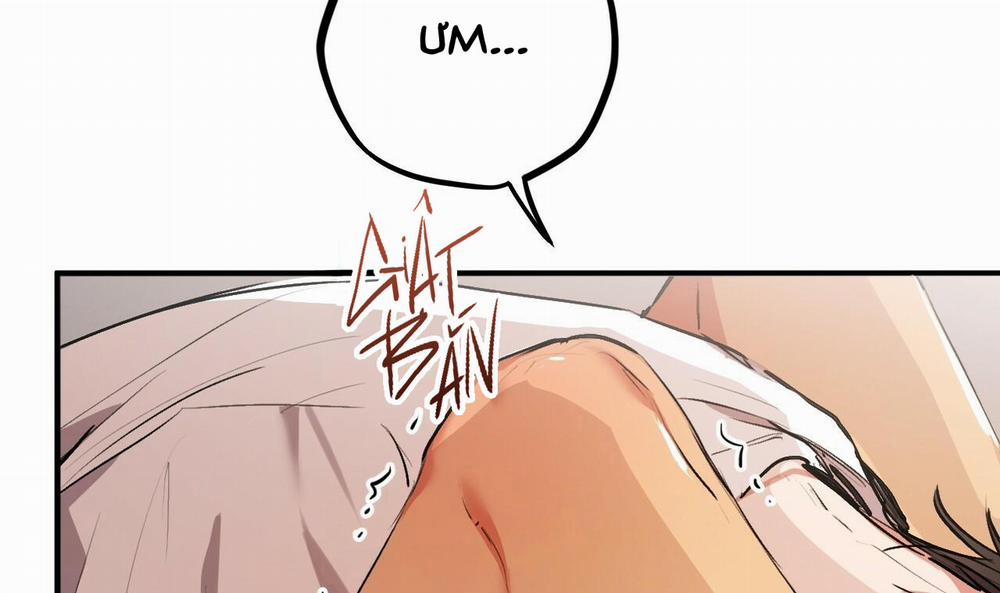 Đàn Thỏ Của Habibi 33 trang 57