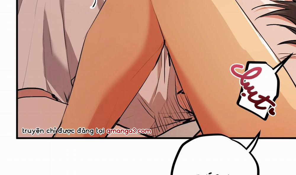 Đàn Thỏ Của Habibi 33 trang 58