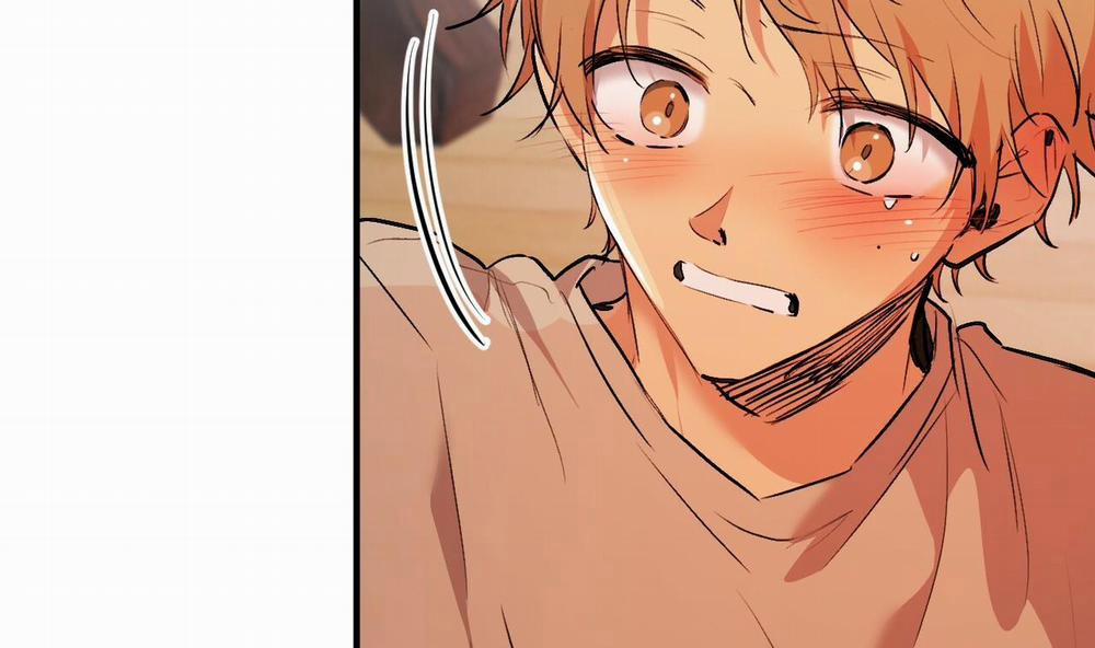 Đàn Thỏ Của Habibi 33 trang 74