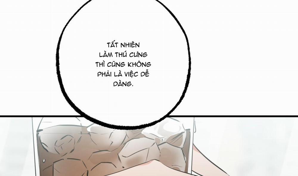 Đàn Thỏ Của Habibi 34 trang 154