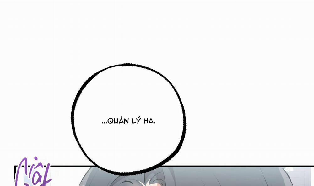 Đàn Thỏ Của Habibi 34 trang 169