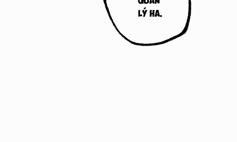 Đàn Thỏ Của Habibi 34 trang 17