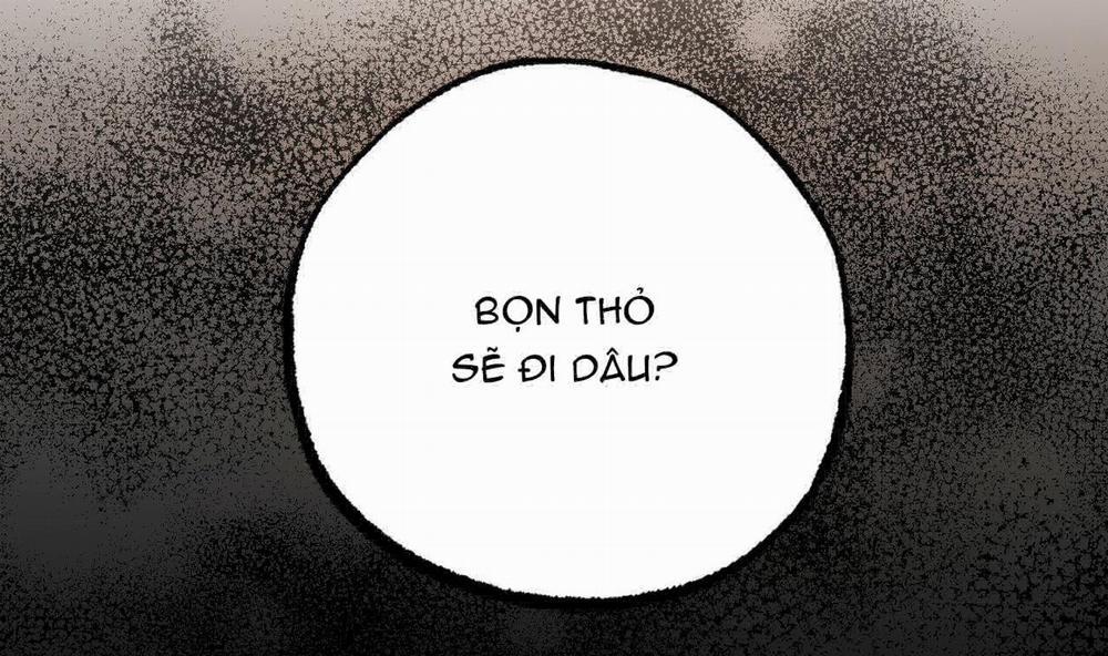 Đàn Thỏ Của Habibi 34 trang 216