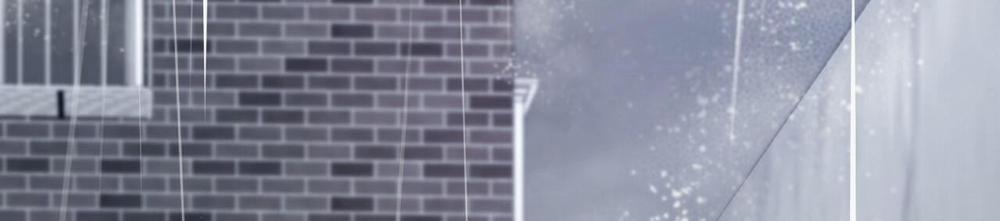 Đàn Thỏ Của Habibi 34 trang 257