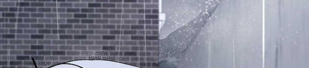 Đàn Thỏ Của Habibi 34 trang 258