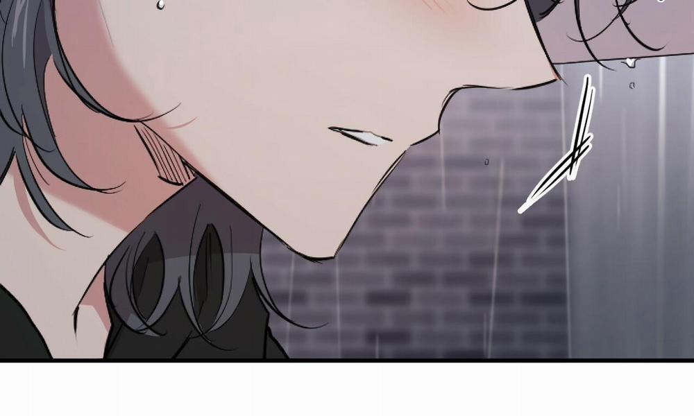 Đàn Thỏ Của Habibi 35 trang 11