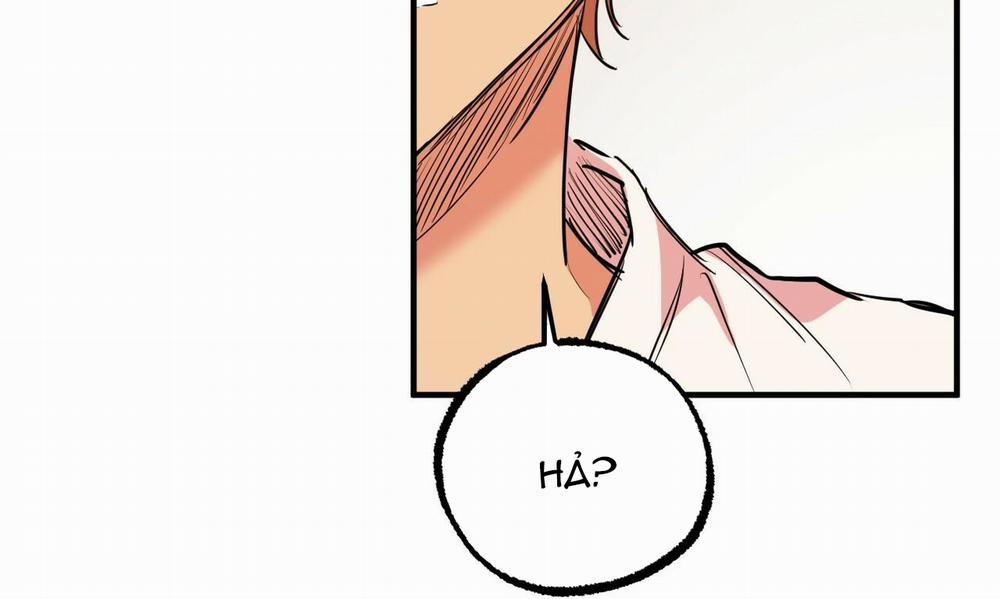 Đàn Thỏ Của Habibi 35 trang 139