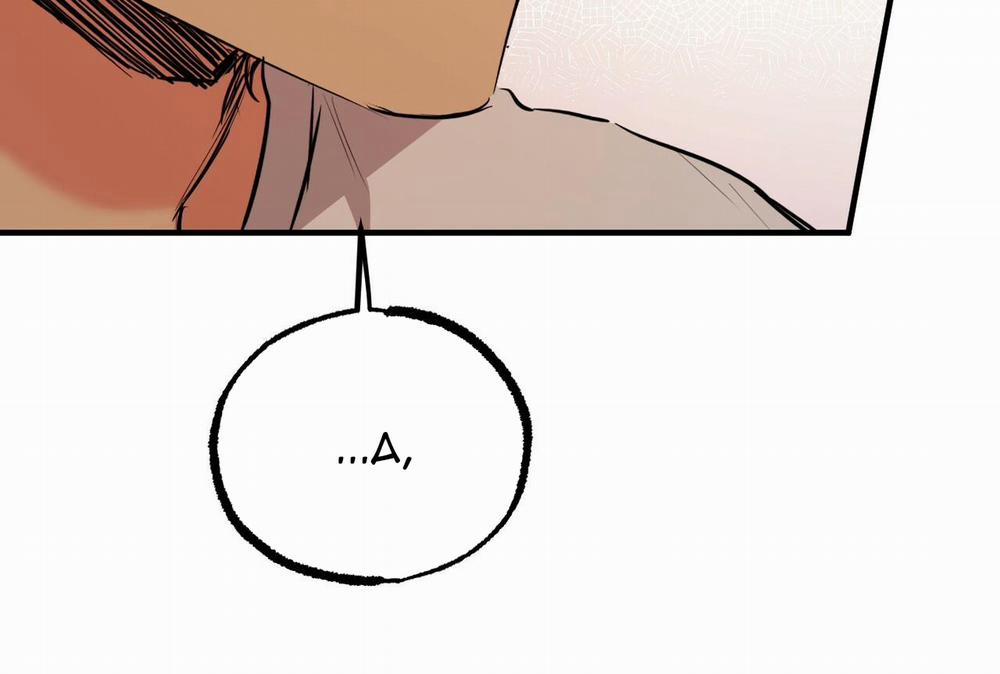 Đàn Thỏ Của Habibi 35 trang 152