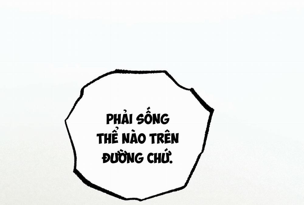 Đàn Thỏ Của Habibi 35 trang 157