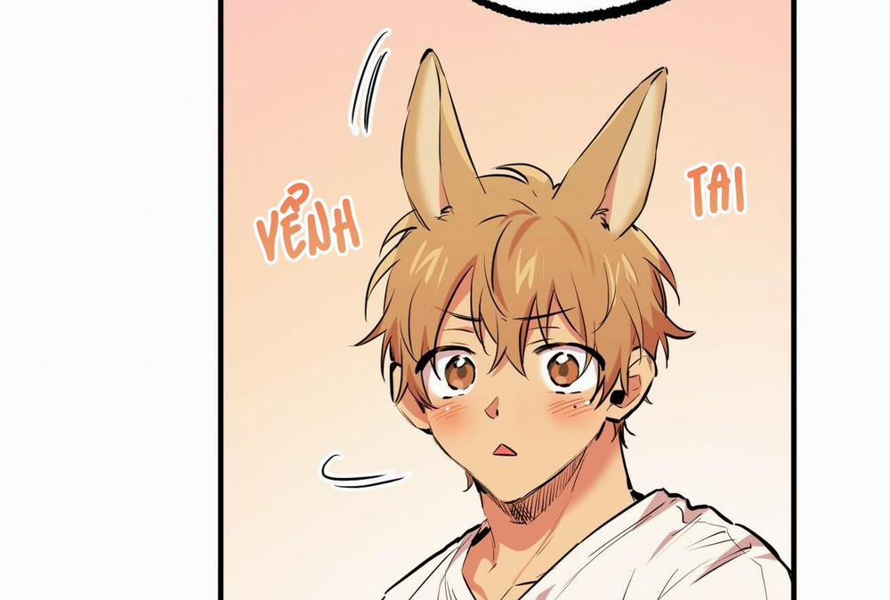 Đàn Thỏ Của Habibi 35 trang 205