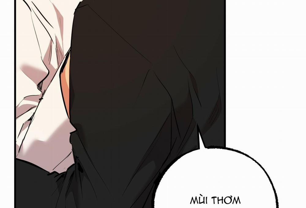 Đàn Thỏ Của Habibi 35 trang 236