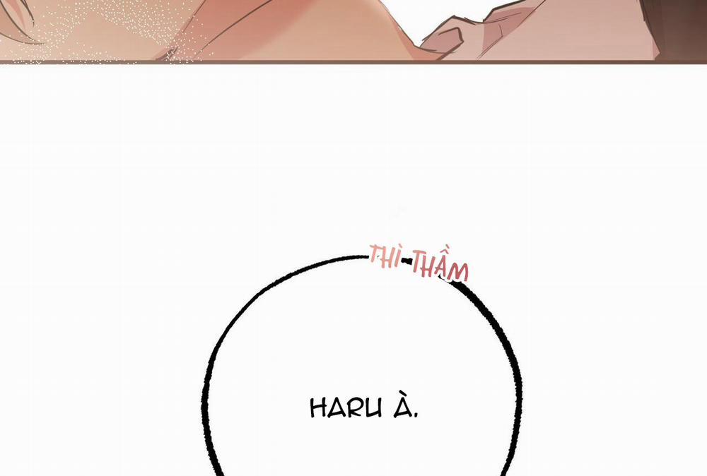 Đàn Thỏ Của Habibi 35 trang 244