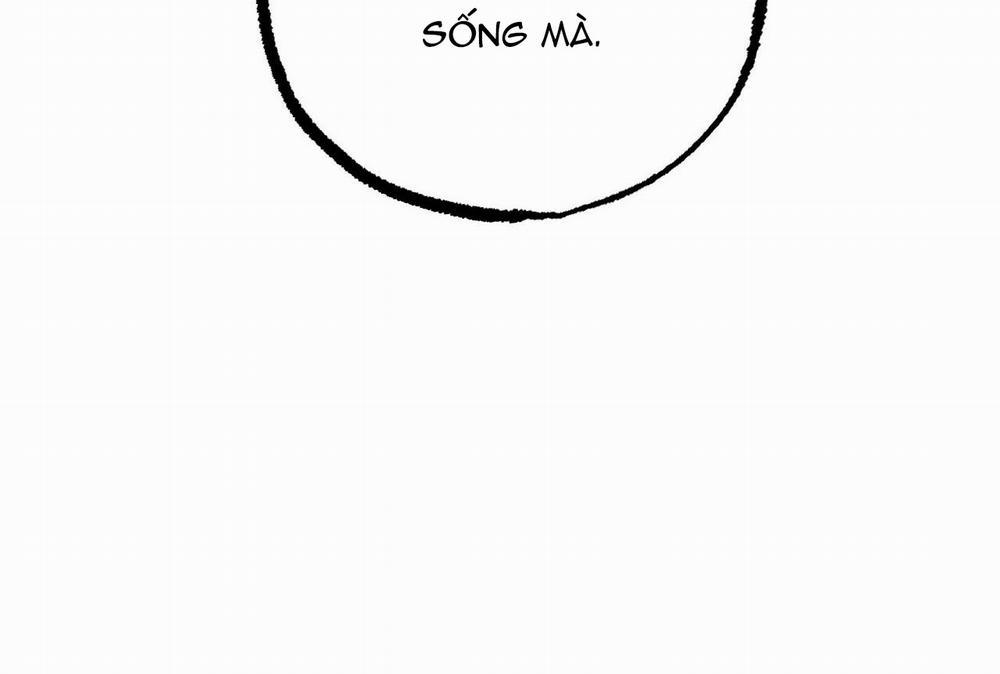 Đàn Thỏ Của Habibi 35 trang 250