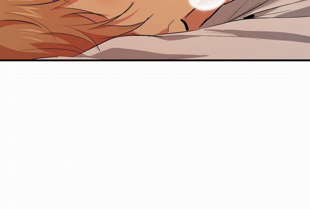 Đàn Thỏ Của Habibi 35 trang 252