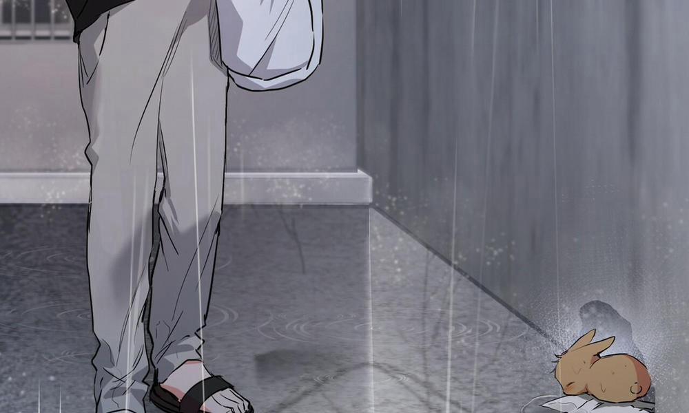 Đàn Thỏ Của Habibi 35 trang 3