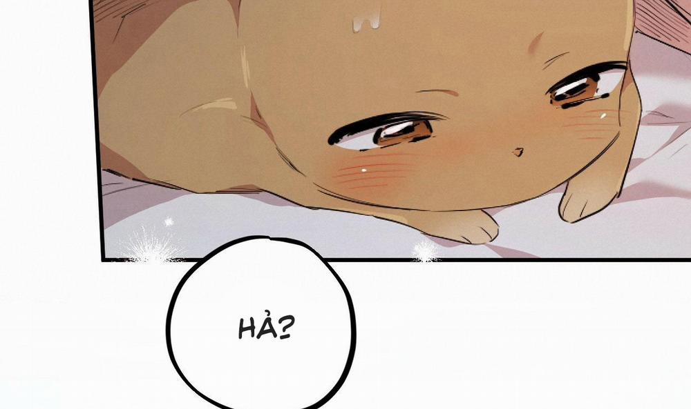 Đàn Thỏ Của Habibi 35 trang 32