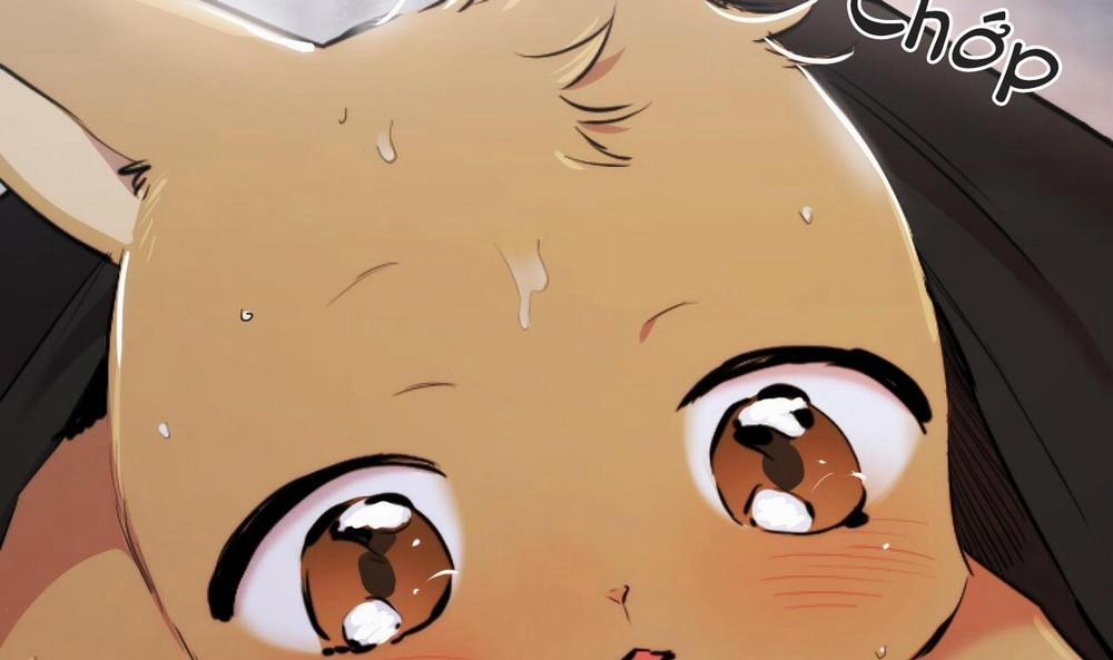 Đàn Thỏ Của Habibi 35 trang 34