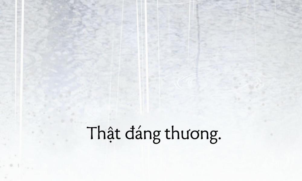 Đàn Thỏ Của Habibi 35 trang 5