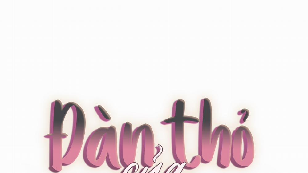 Đàn Thỏ Của Habibi 35 trang 57