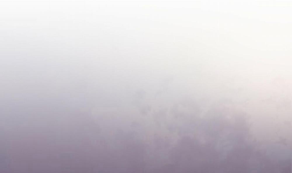 Đàn Thỏ Của Habibi 37 trang 121