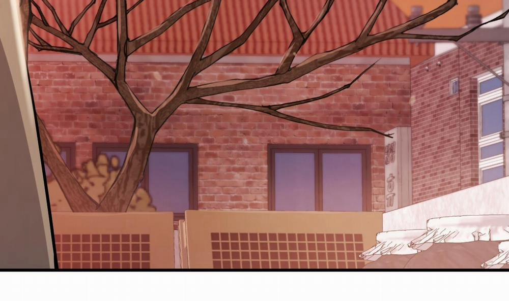 Đàn Thỏ Của Habibi 37 trang 125