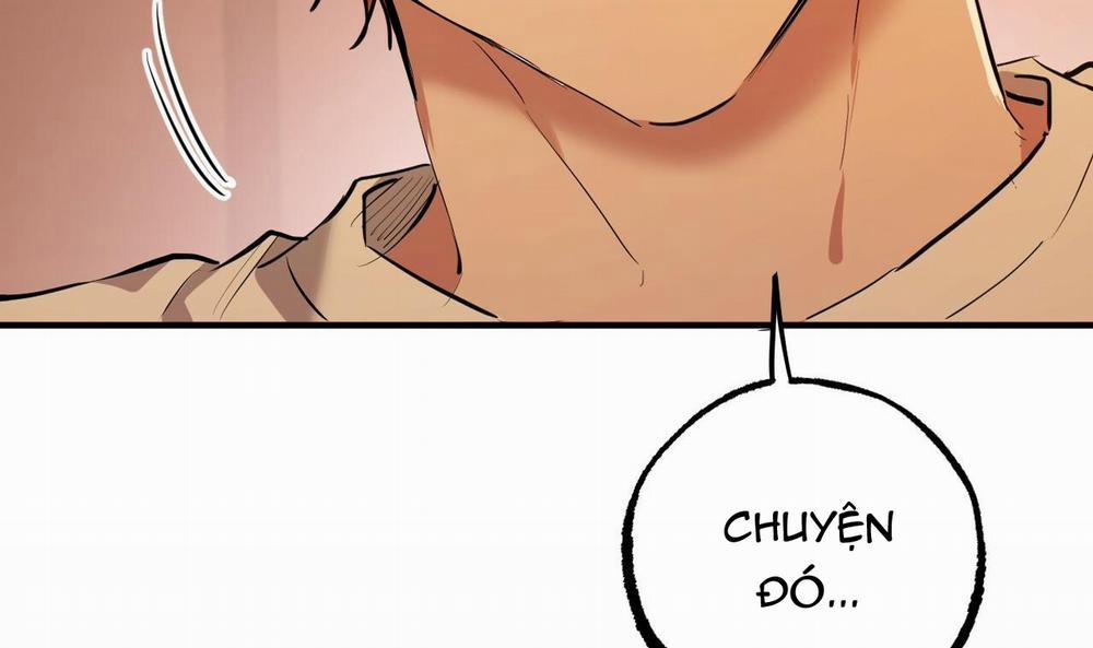 Đàn Thỏ Của Habibi 37 trang 150