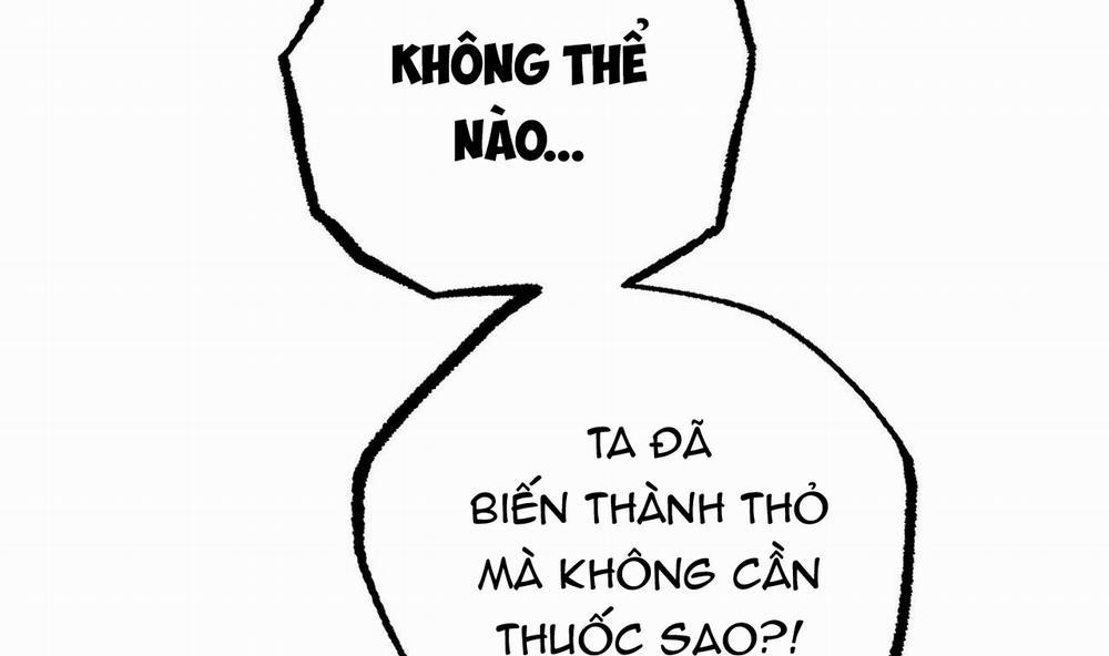 Đàn Thỏ Của Habibi 37 trang 162