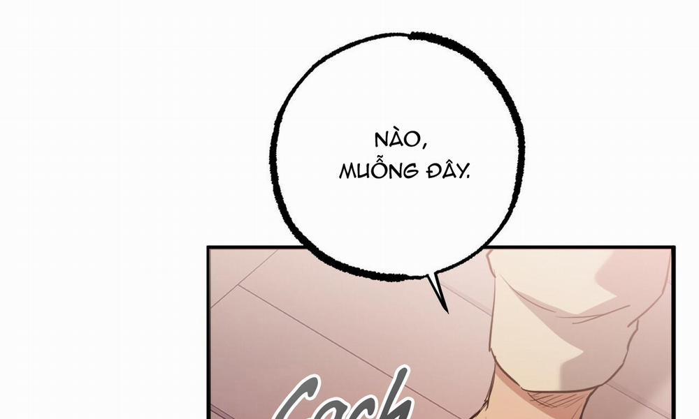 Đàn Thỏ Của Habibi 37 trang 184