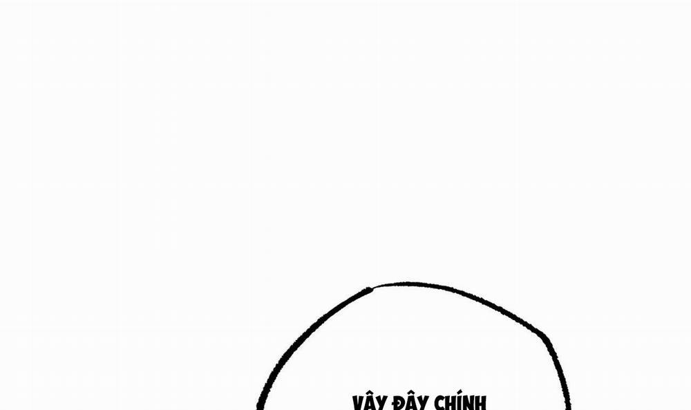 Đàn Thỏ Của Habibi 37 trang 203