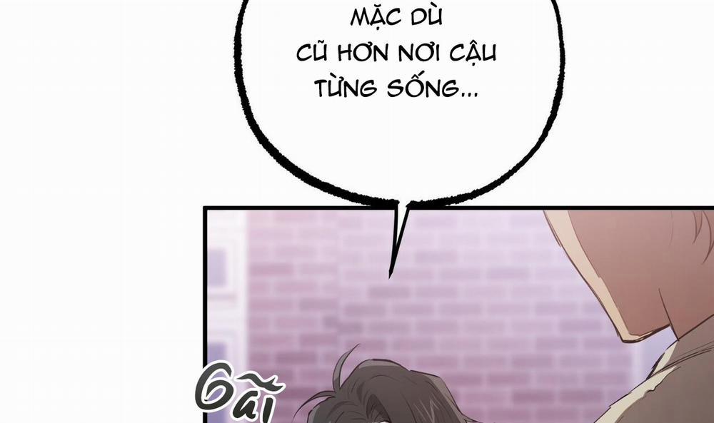 Đàn Thỏ Của Habibi 37 trang 213