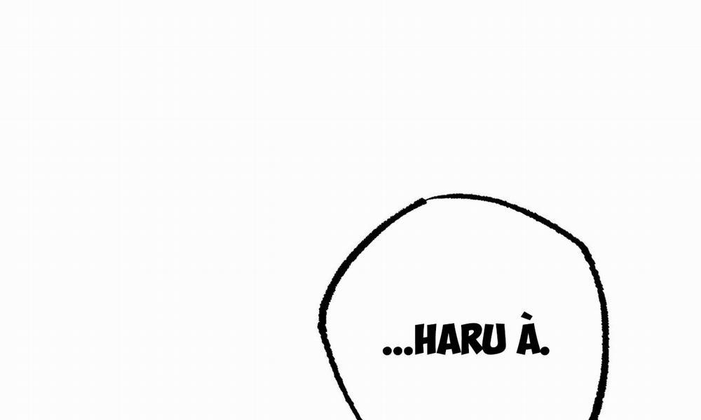 Đàn Thỏ Của Habibi 37 trang 260