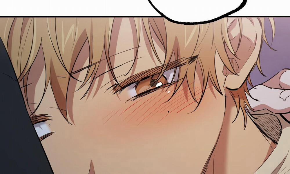 Đàn Thỏ Của Habibi 37 trang 261