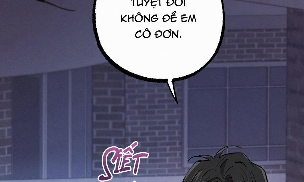 Đàn Thỏ Của Habibi 37 trang 266