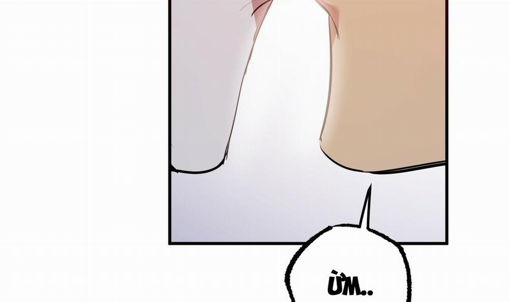 Đàn Thỏ Của Habibi 37 trang 286