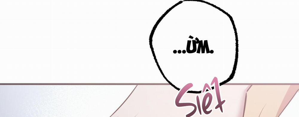 Đàn Thỏ Của Habibi 37 trang 305