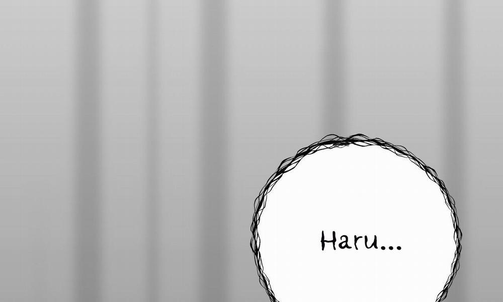 Đàn Thỏ Của Habibi 37 trang 4