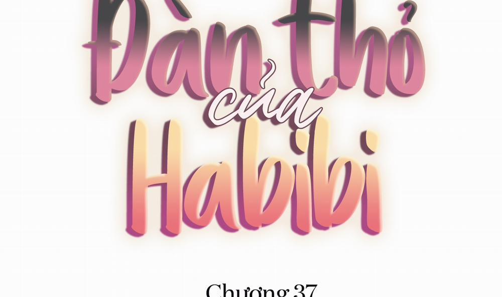 Đàn Thỏ Của Habibi 37 trang 47
