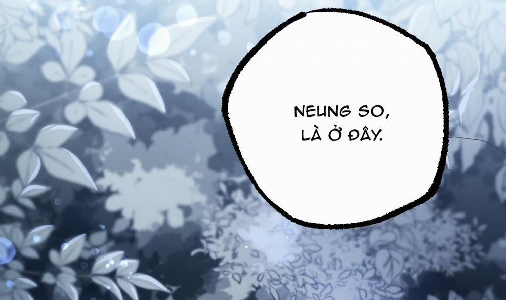 Đàn Thỏ Của Habibi 37 trang 61