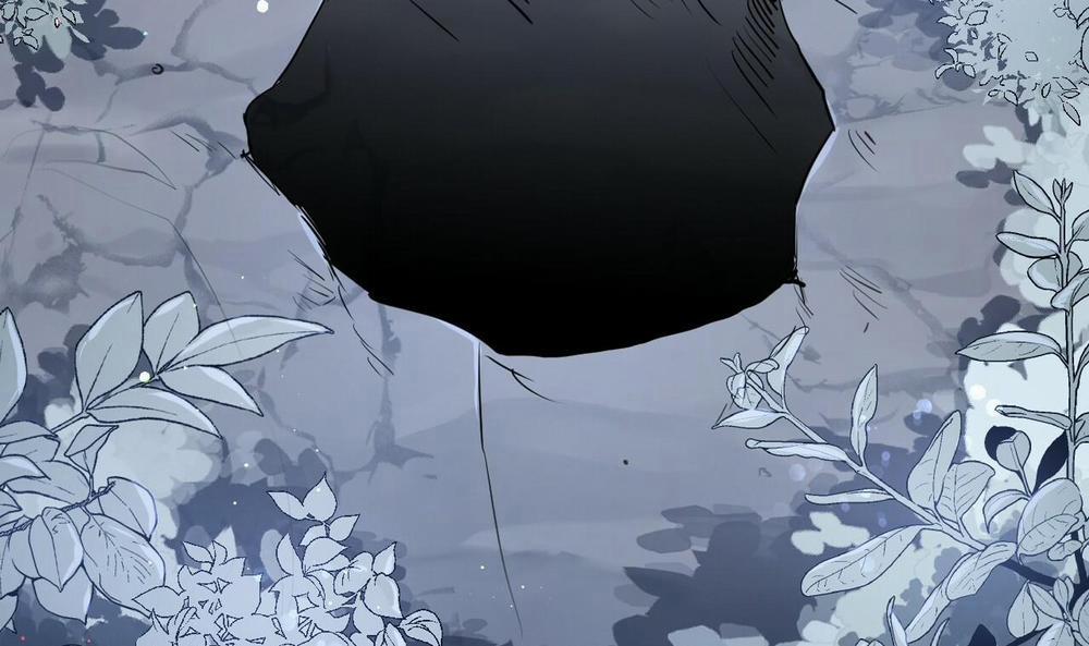 Đàn Thỏ Của Habibi 37 trang 63