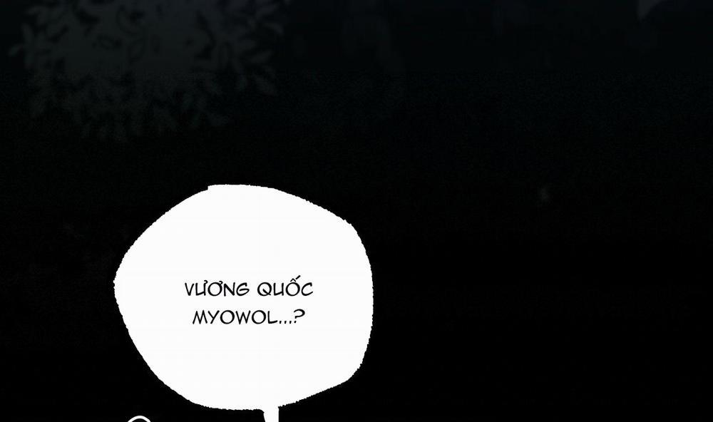 Đàn Thỏ Của Habibi 37 trang 66