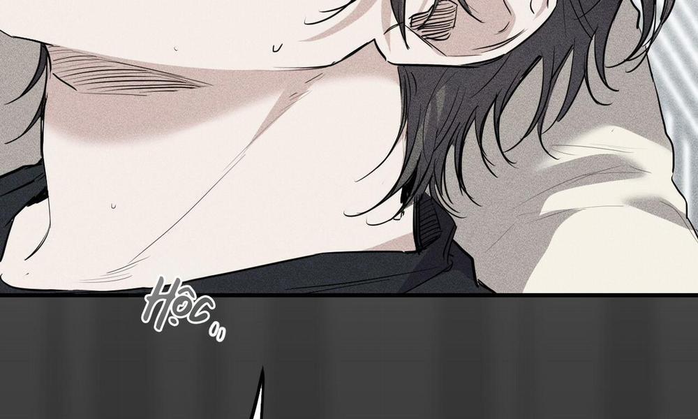 Đàn Thỏ Của Habibi 37 trang 7