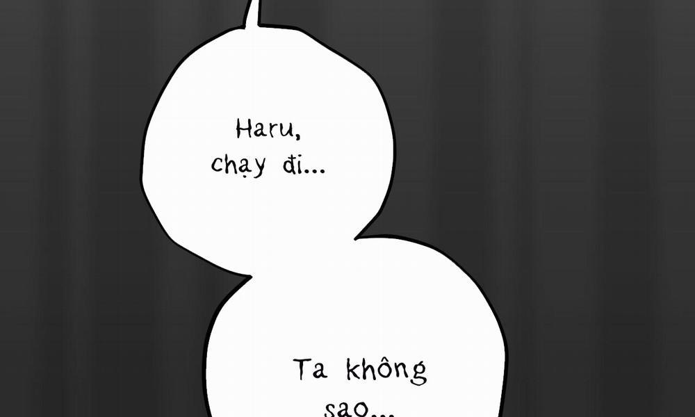 Đàn Thỏ Của Habibi 37 trang 8