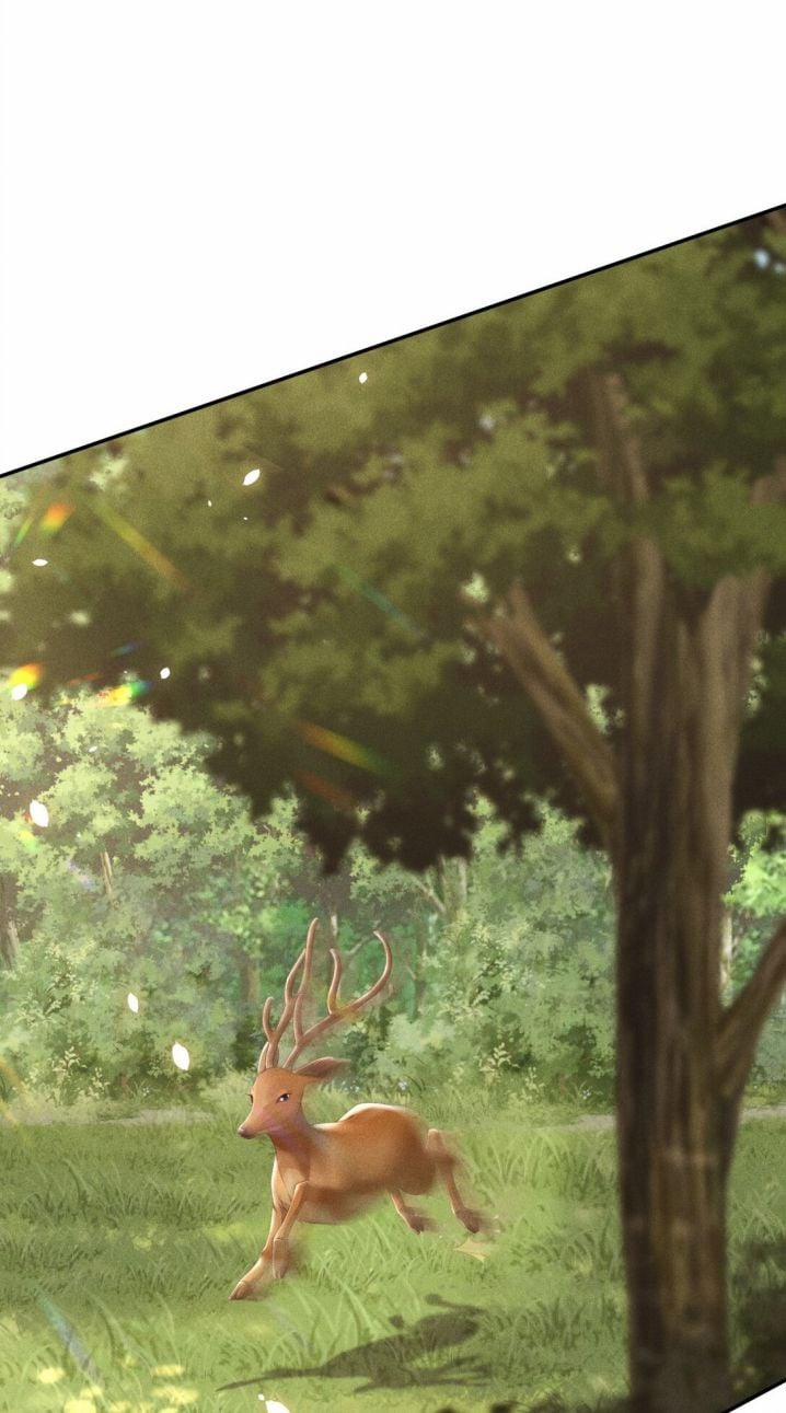 Đan Tiêu Vạn Dặm 1 trang 1