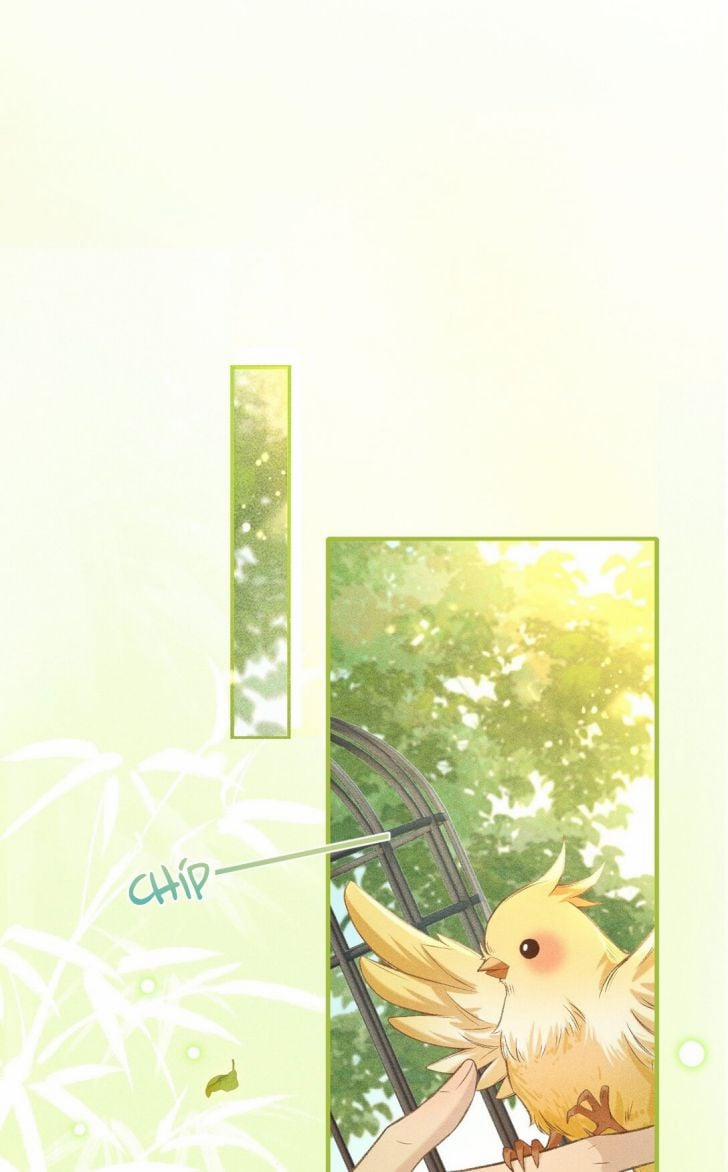 Đan Tiêu Vạn Dặm 3 trang 48