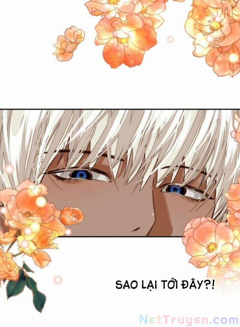 Dàn Trai Đẹp Chốn Hậu Cung 12 trang 57